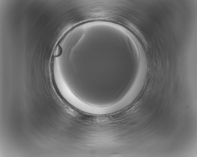 X0000066501291200604072231