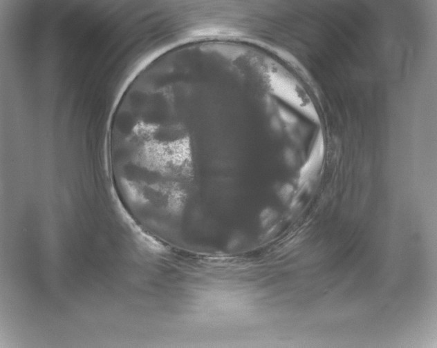 X0000066501295200604072231