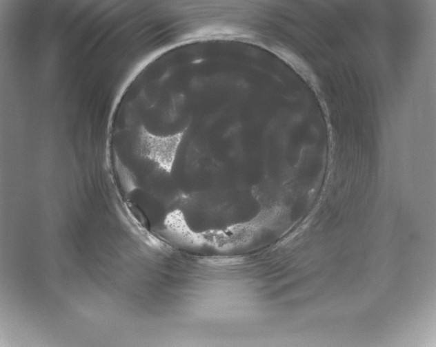 X0000066501296200604072231