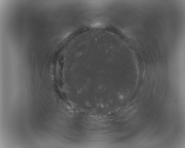 X0000066501301200604072230