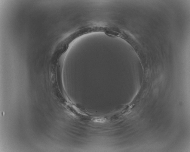 X0000066501303200604072230