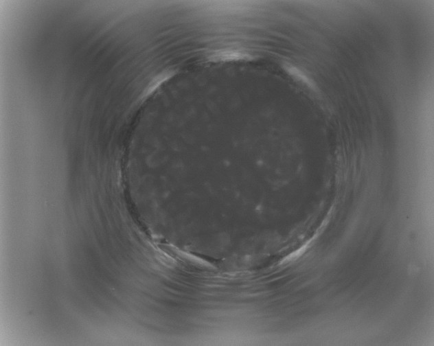 X0000066501305200604072230