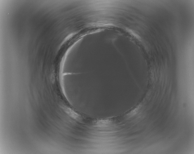X0000066501306200604072230