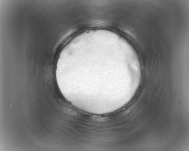 X0000066501309200604072230