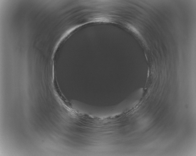 X0000066501323200604072231