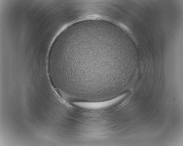 X0000066501326200604072231