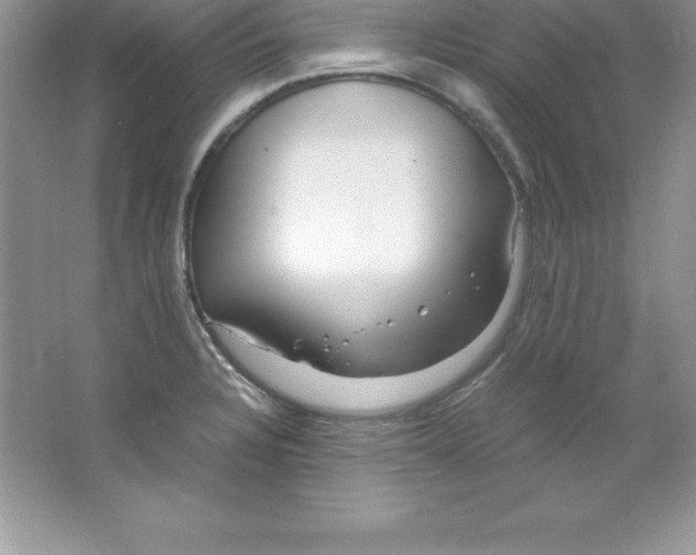 X0000066501328200604072231