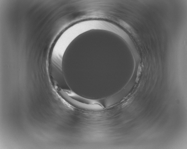 X0000066501334200604072231
