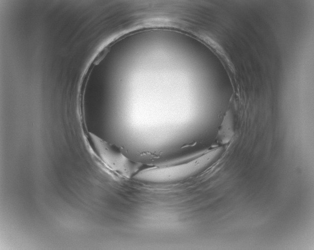 X0000066501342200604072231