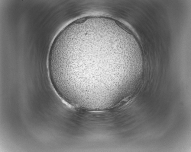 X0000066501343200604072231