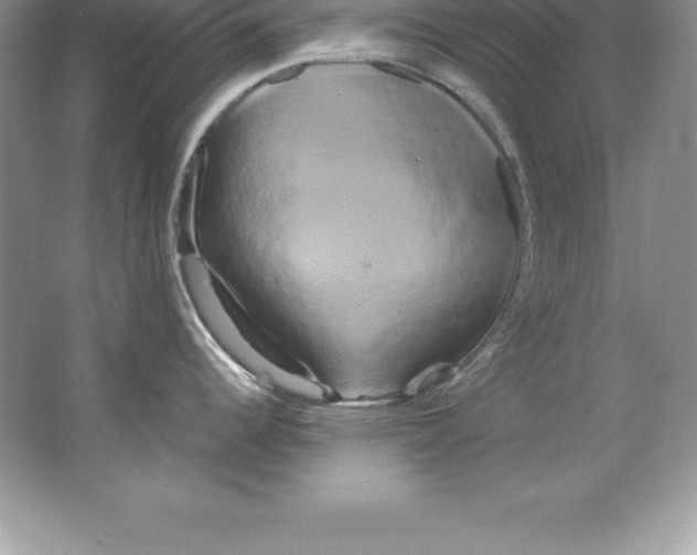 X0000066501344200604072231