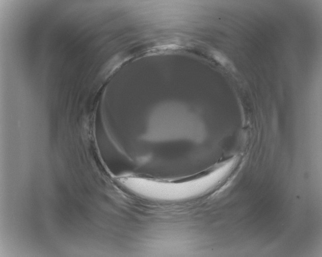X0000066501353200604072230