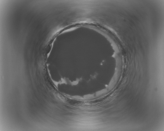 X0000066501359200604072230