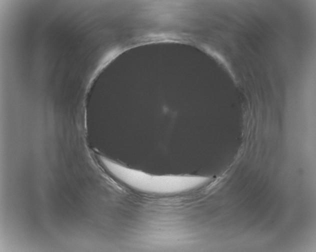 X0000066501365200604072230