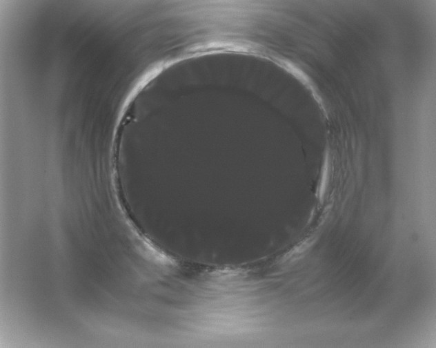 X0000066501373200604072230