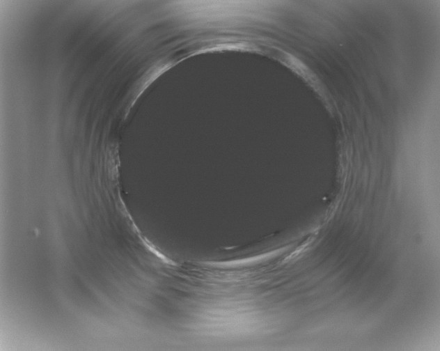 X0000066501377200604072230