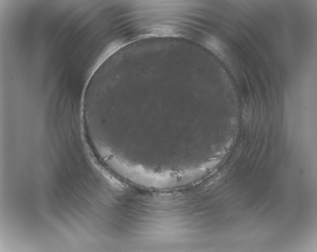 X0000066501378200604072230