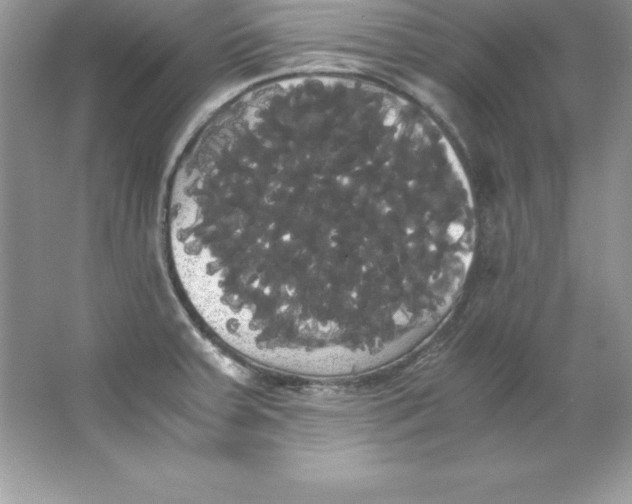 X0000066501379200604072230