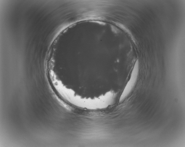 X0000066501383200604072229
