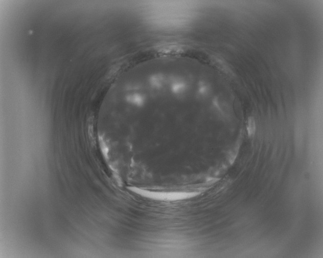 X0000066501396200604072229