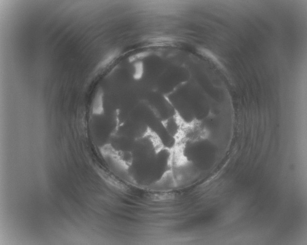 X0000066501403200604072229