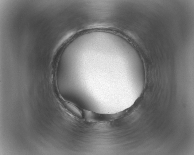 X0000066501406200604072229