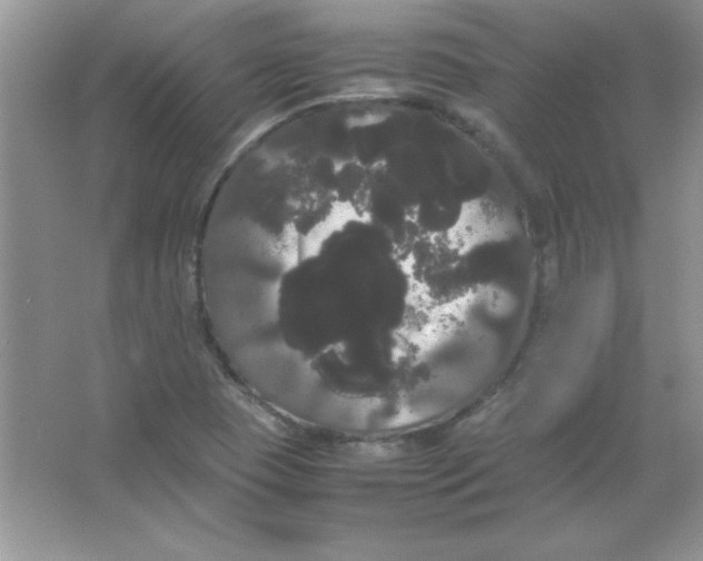 X0000066501409200604072229