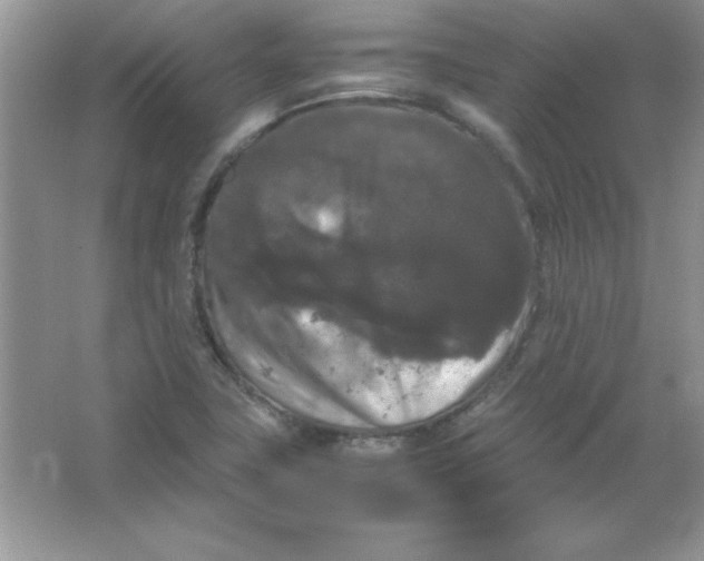X0000066501411200604072229