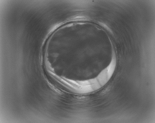 X0000066501413200604072229