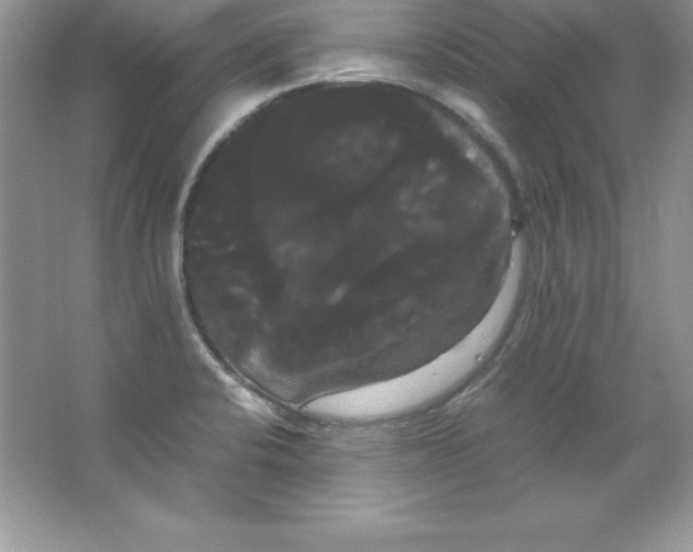 X0000066501424200604072229