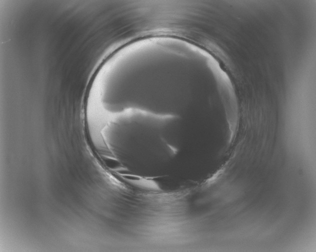 X0000066501428200604072229