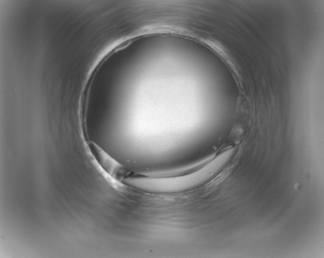 X0000066501438200604072229