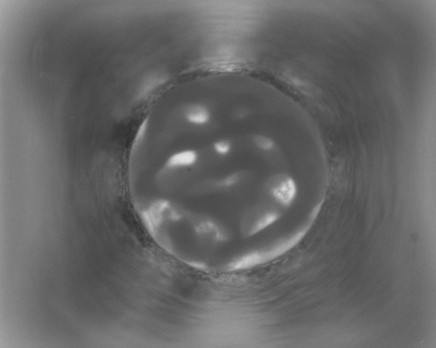 X0000066501446200604072228