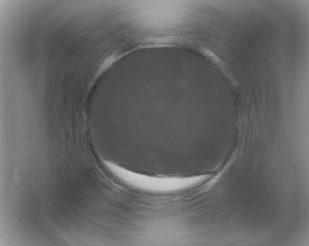 X0000066501449200604072228