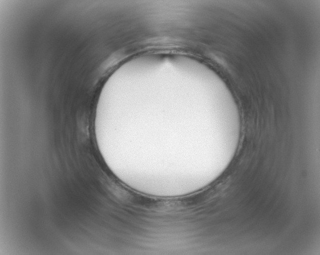 X0000066501451200604072228