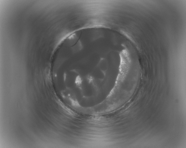 X0000066501452200604072228