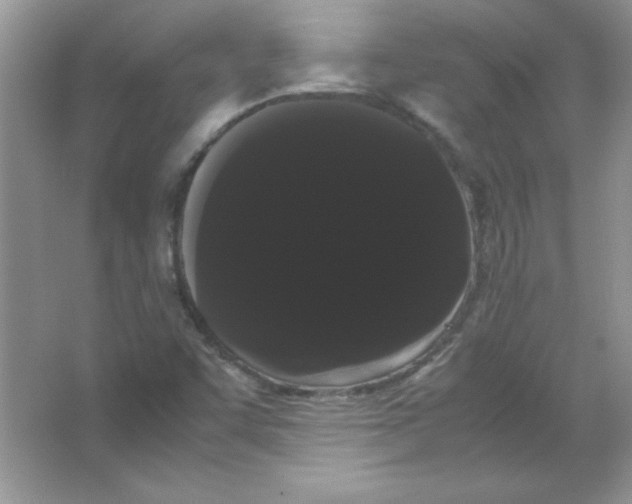 X0000066501455200604072228