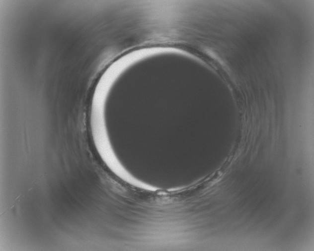 X0000066501459200604072228