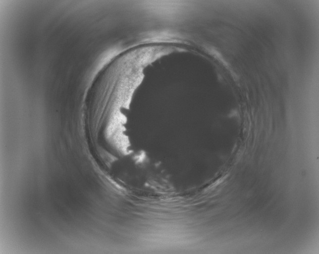 X0000066501463200604072228