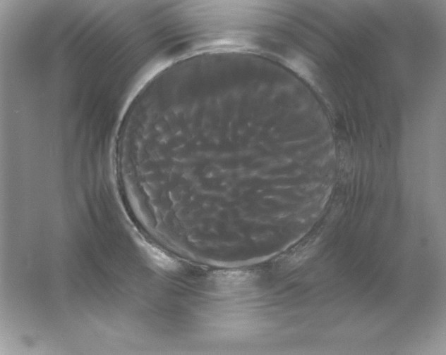 X0000066501474200604072228