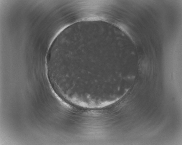 X0000066501476200604072228