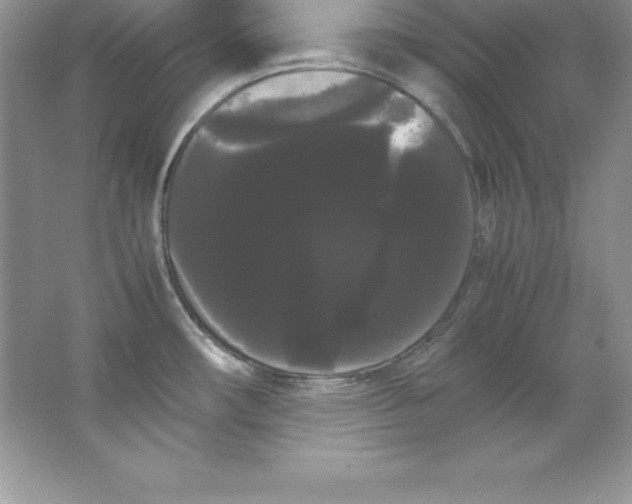 X0000066501482200604072228