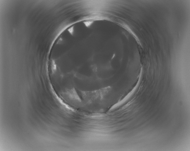 X0000066501484200604072228