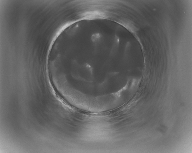 X0000066501488200604072228
