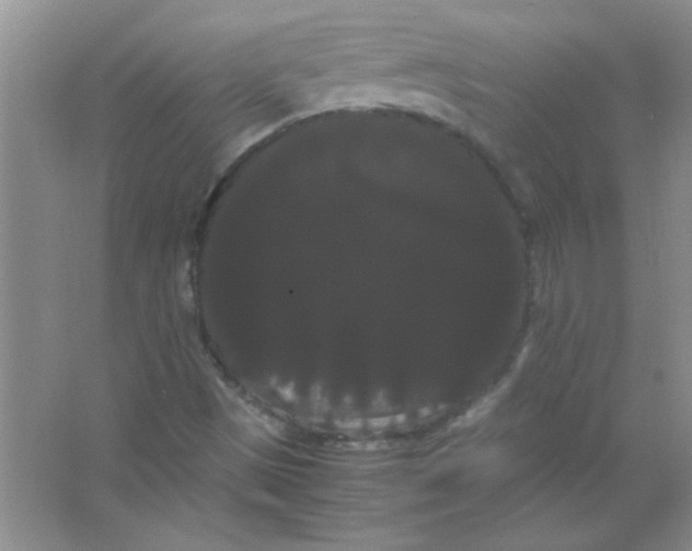 X0000066501497200604072227