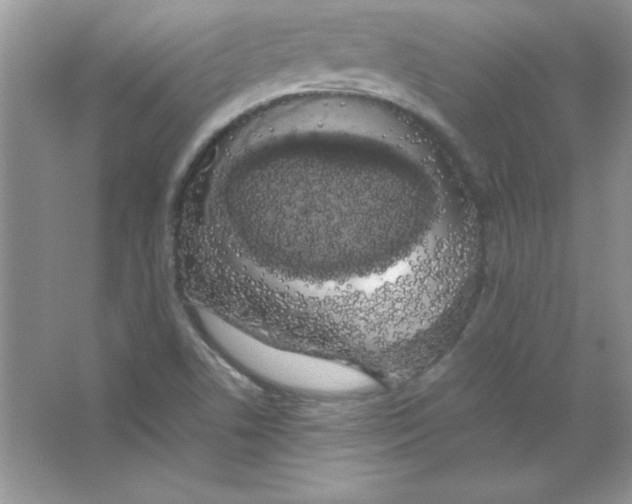 X0000066501506200604072227