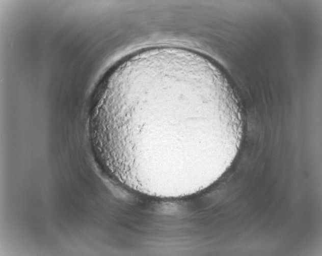 X0000066501507200604072227