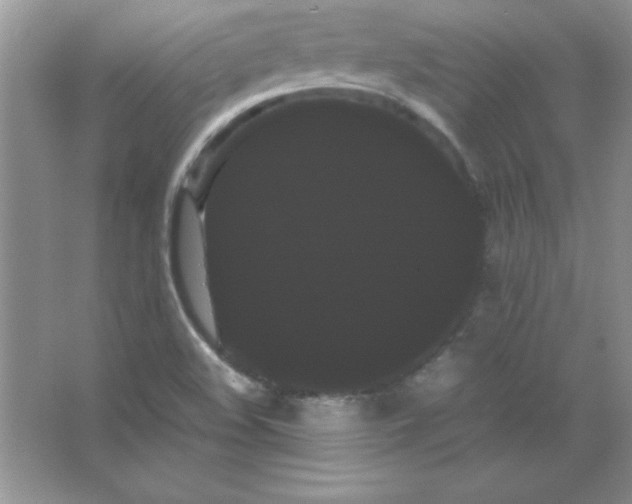 X0000066501508200604072227