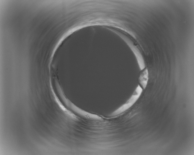 X0000066501515200604072227