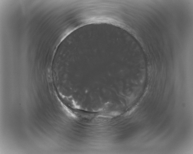 X0000066501521200604072227